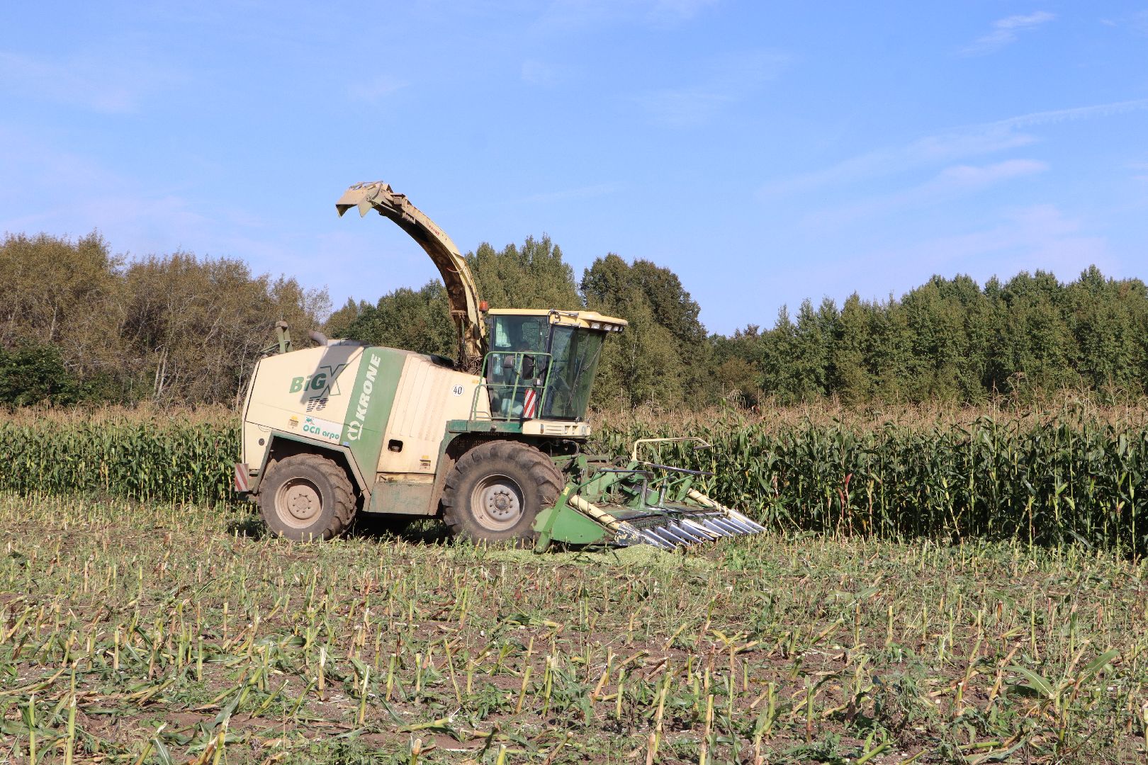 Серебряные Пруды, сельское хозяйство, подмосковье, корм,