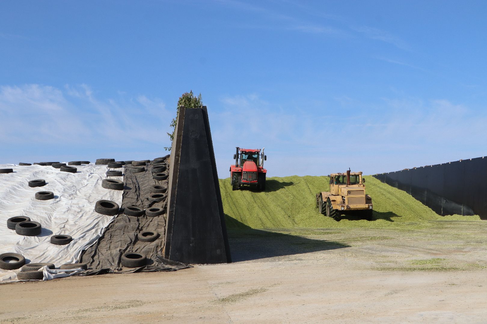 Серебряные Пруды, сельское хозяйство, подмосковье, корм,