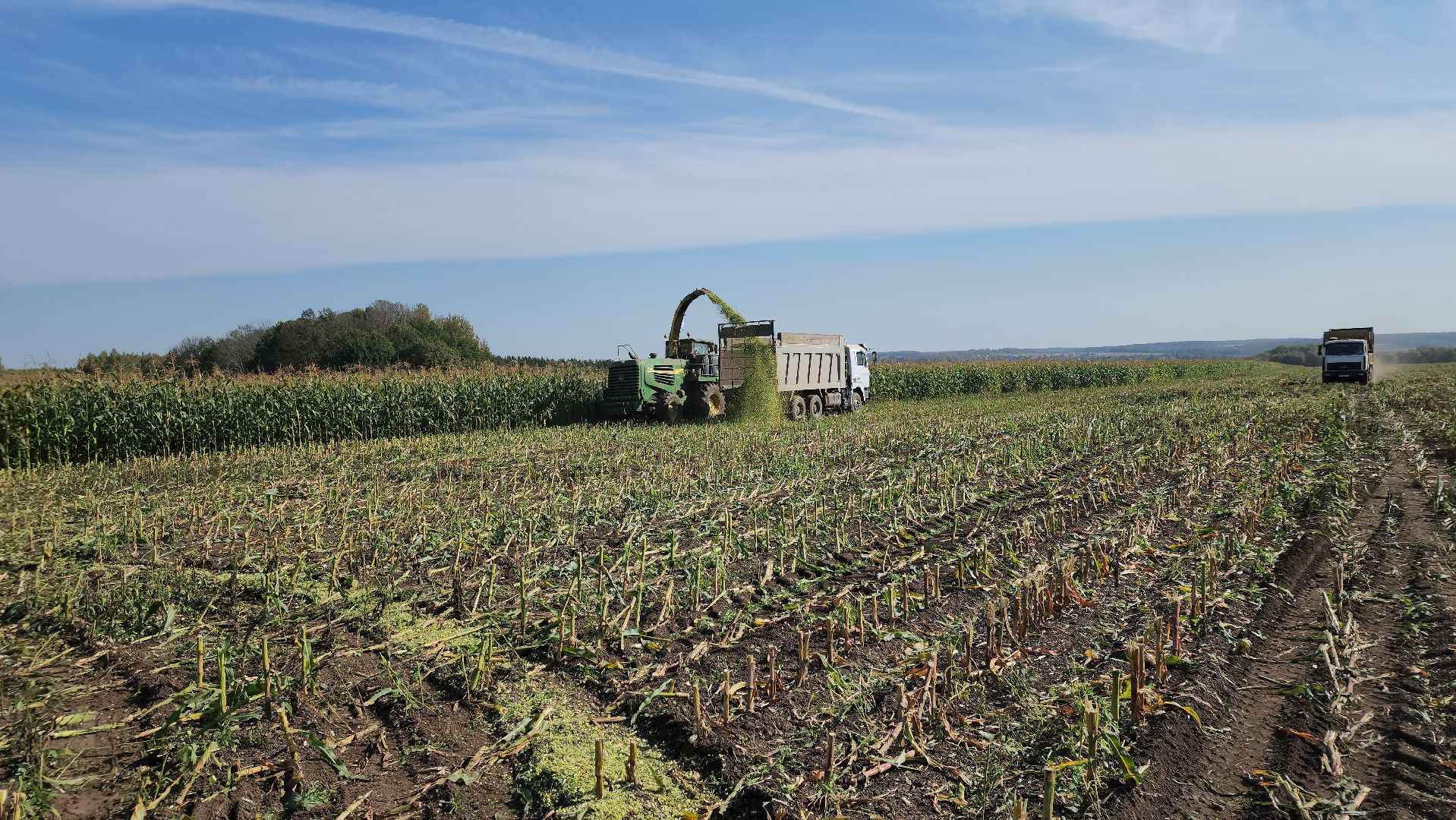 Серебряные Пруды, сельское хозяйство, подмосковье, корм,