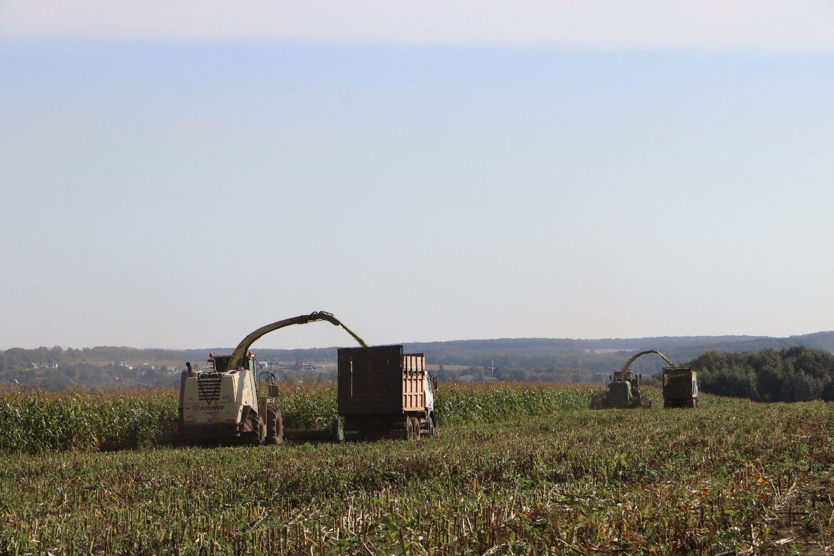 Серебряные Пруды, сельское хозяйство, подмосковье, корм,