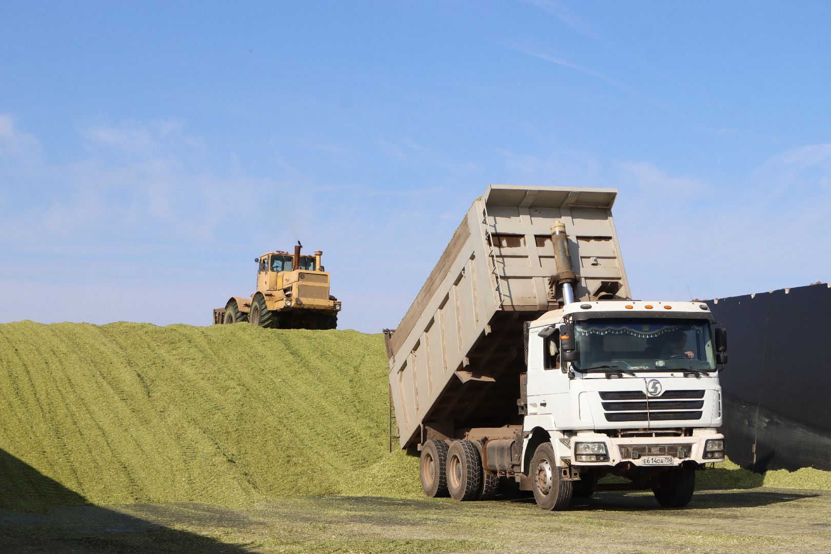 Серебряные Пруды, сельское хозяйство, подмосковье, корм,