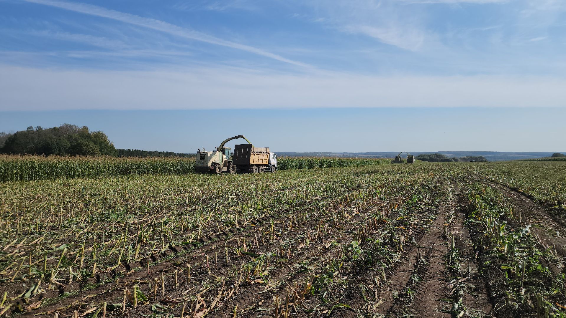 Серебряные Пруды, сельское хозяйство, подмосковье, корм,