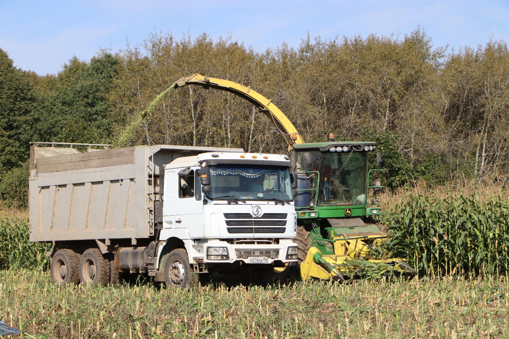 Серебряные Пруды, сельское хозяйство, подмосковье, корм,