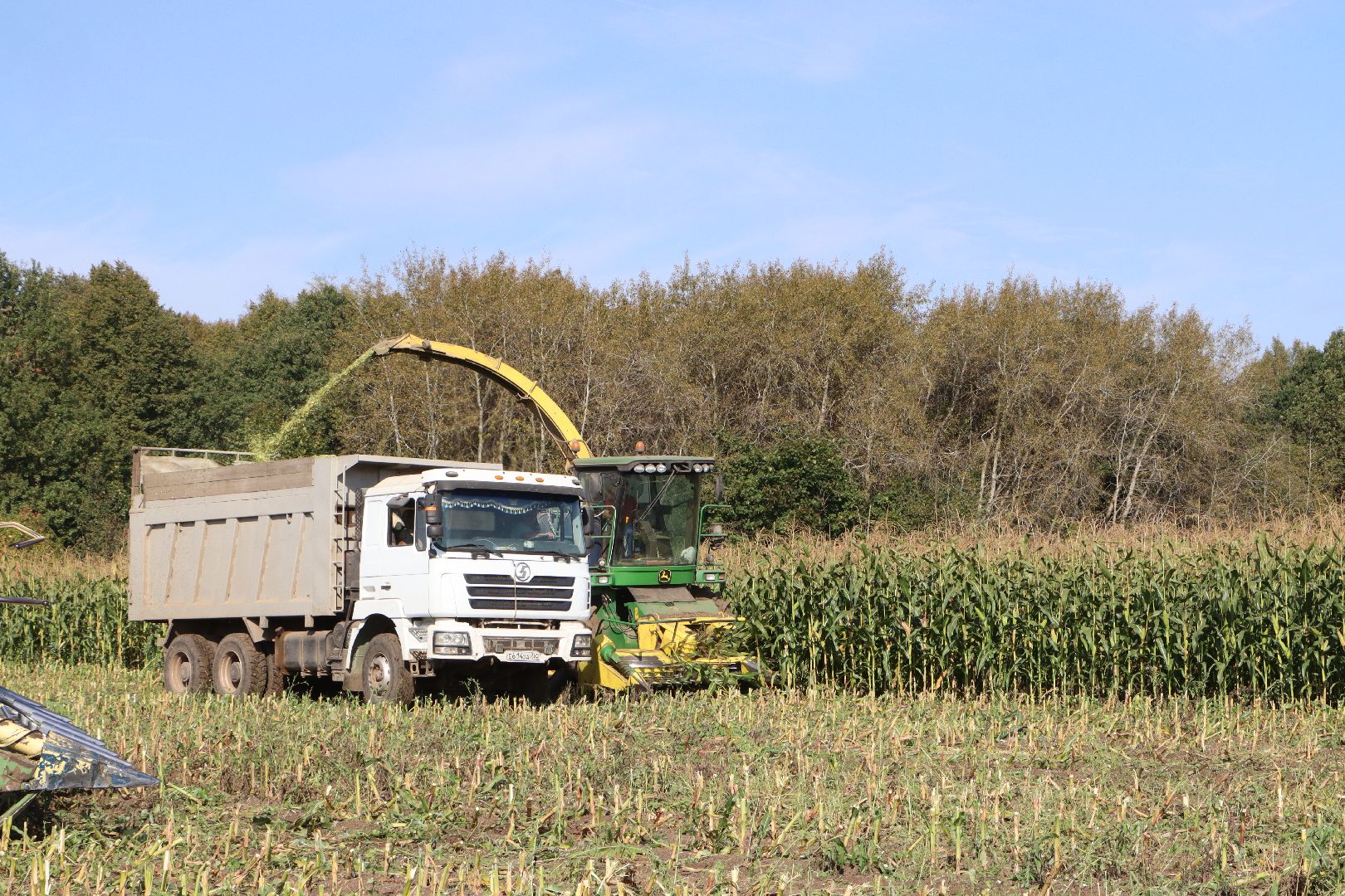 Серебряные Пруды, сельское хозяйство, подмосковье, корм,