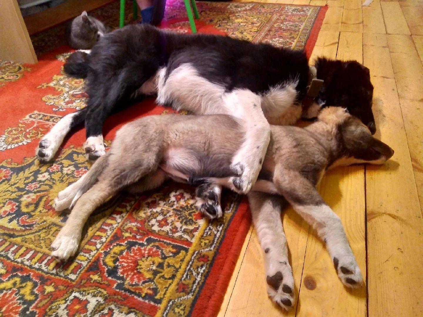 волонтерство,