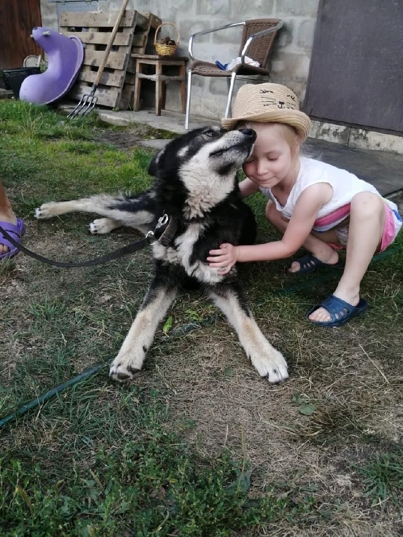 волонтерство,