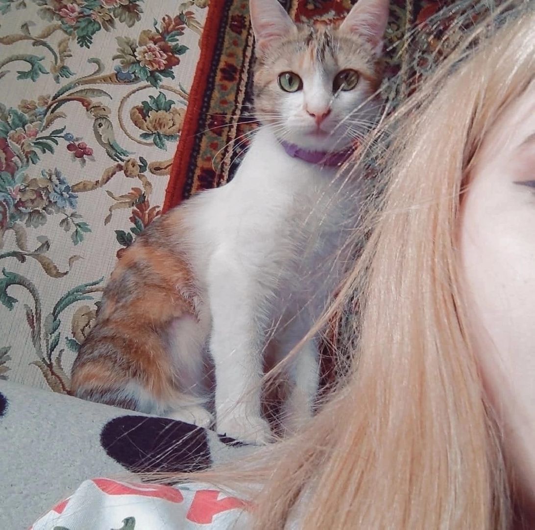 волонтерство,