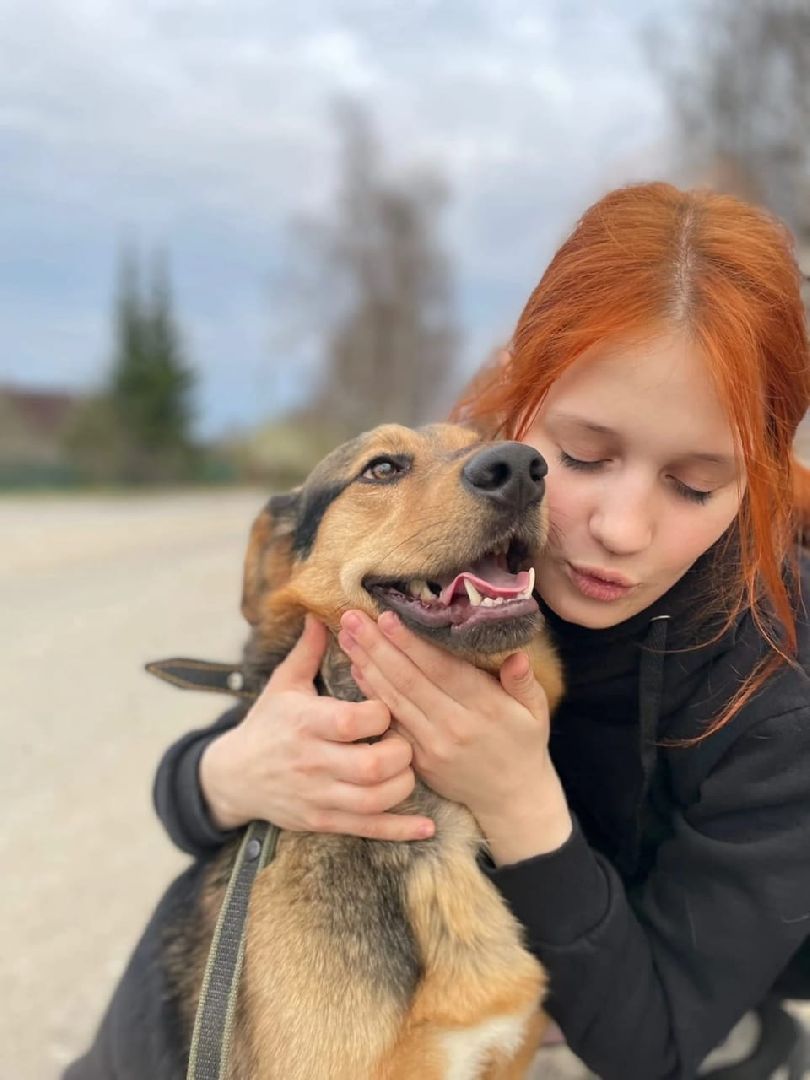 волонтерство,