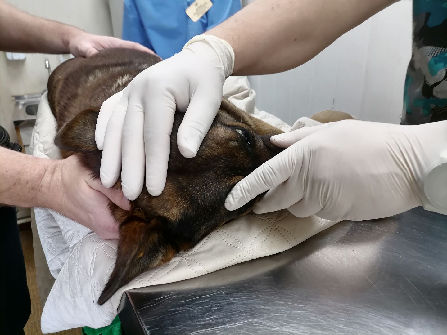 волонтерство,