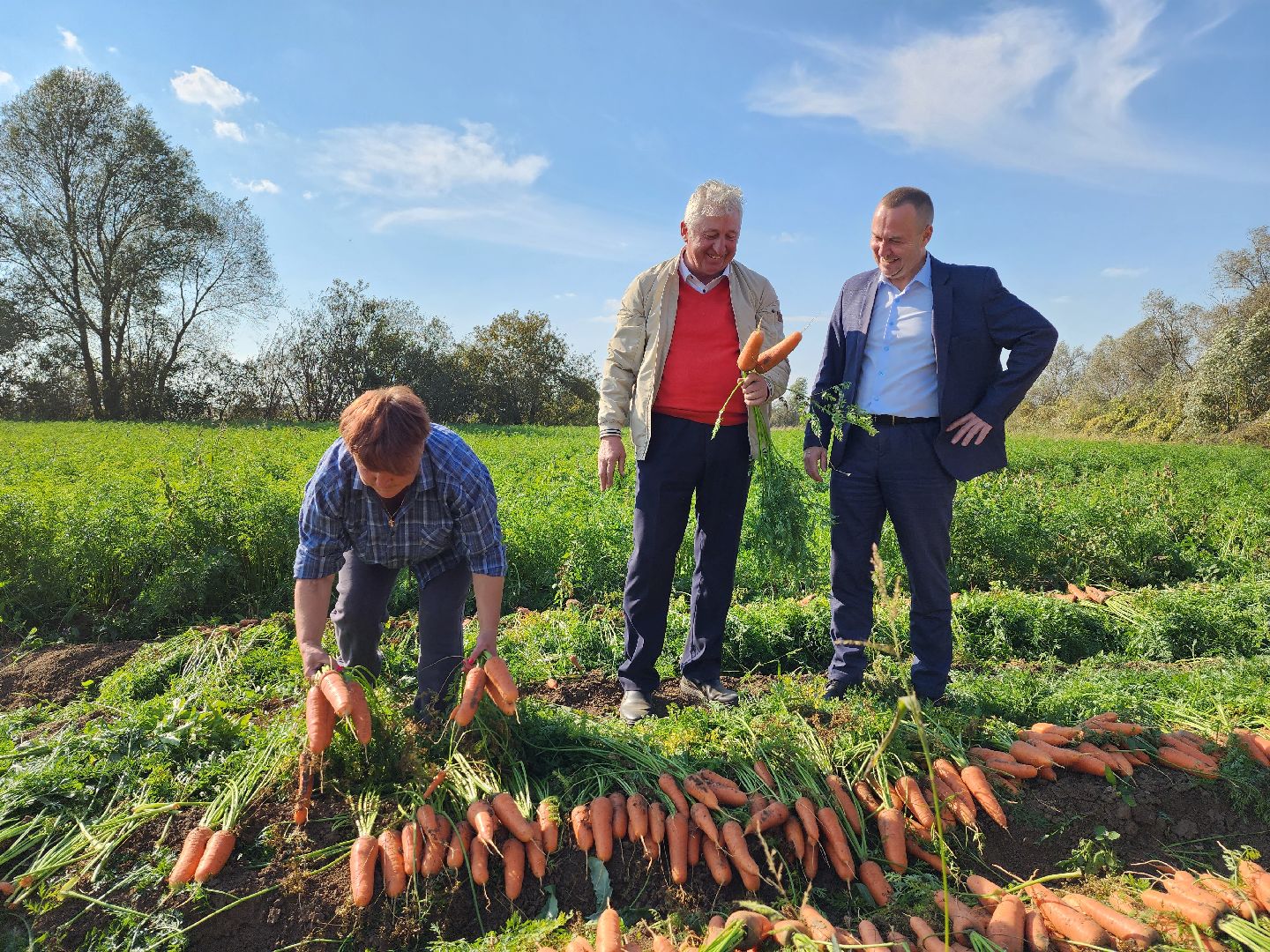 экономика, сельское хозяйство, воскресенск, овощи, урожай,