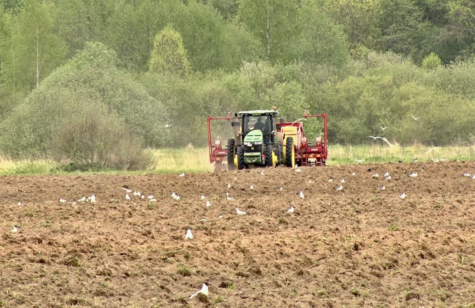 Клин, экономика, фермеры, сельское хозяйство, люди,