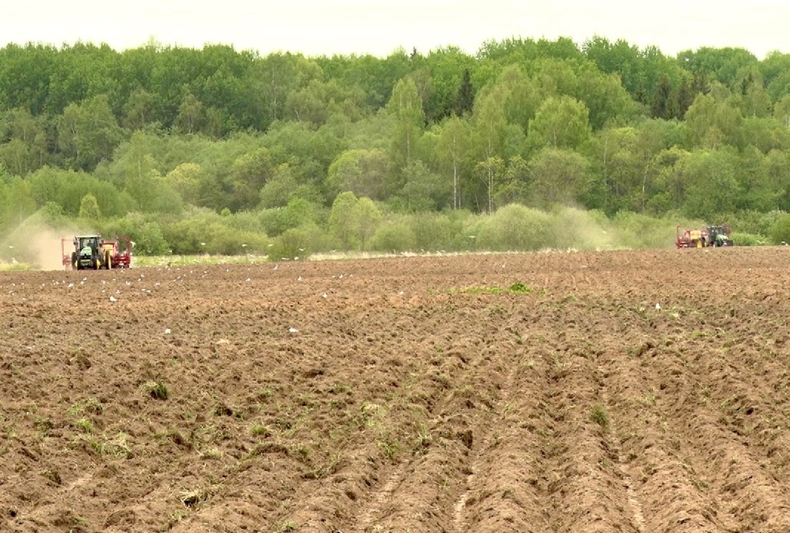 Клин, экономика, фермеры, сельское хозяйство, люди,