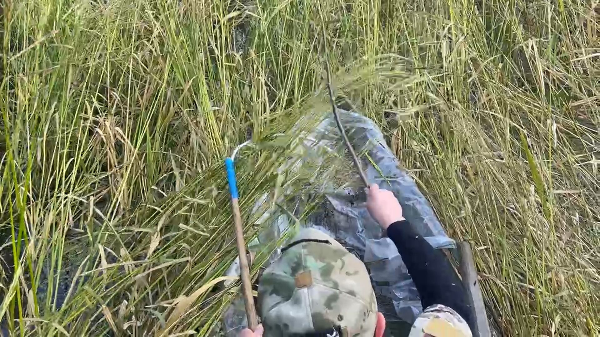 шатура, зизания, дикий рис, черный рис, охота, карьеры, утки, добыча, урожай, охотоведы,