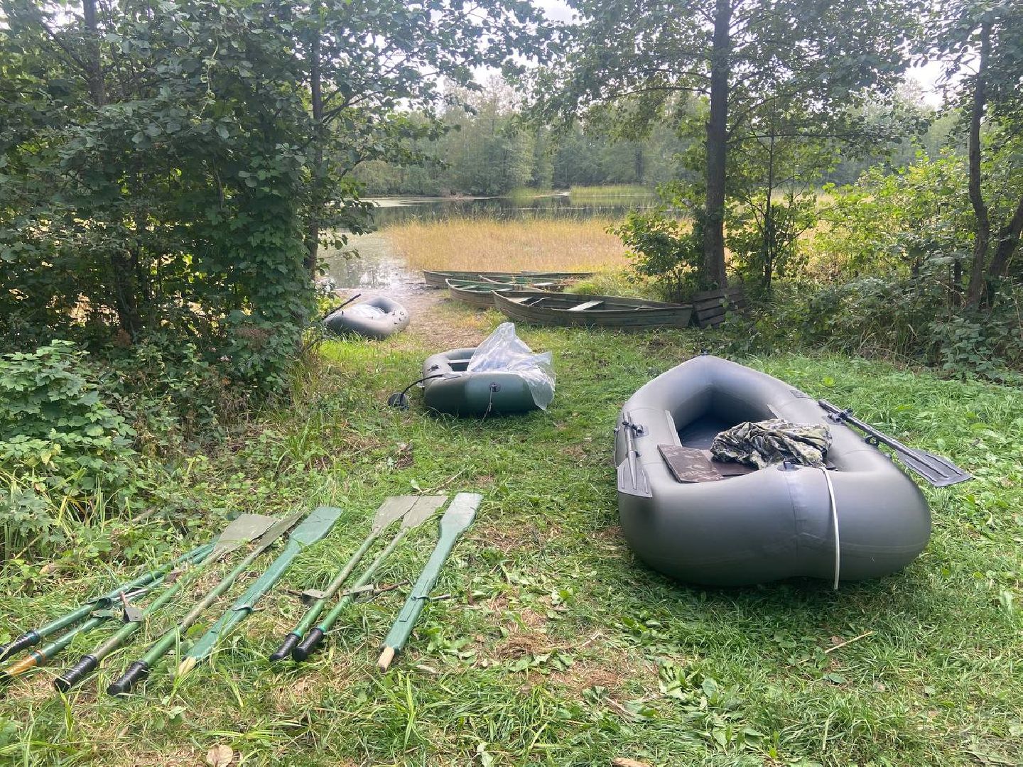 шатура, зизания, дикий рис, черный рис, охота, карьеры, утки, добыча, урожай, охотоведы,