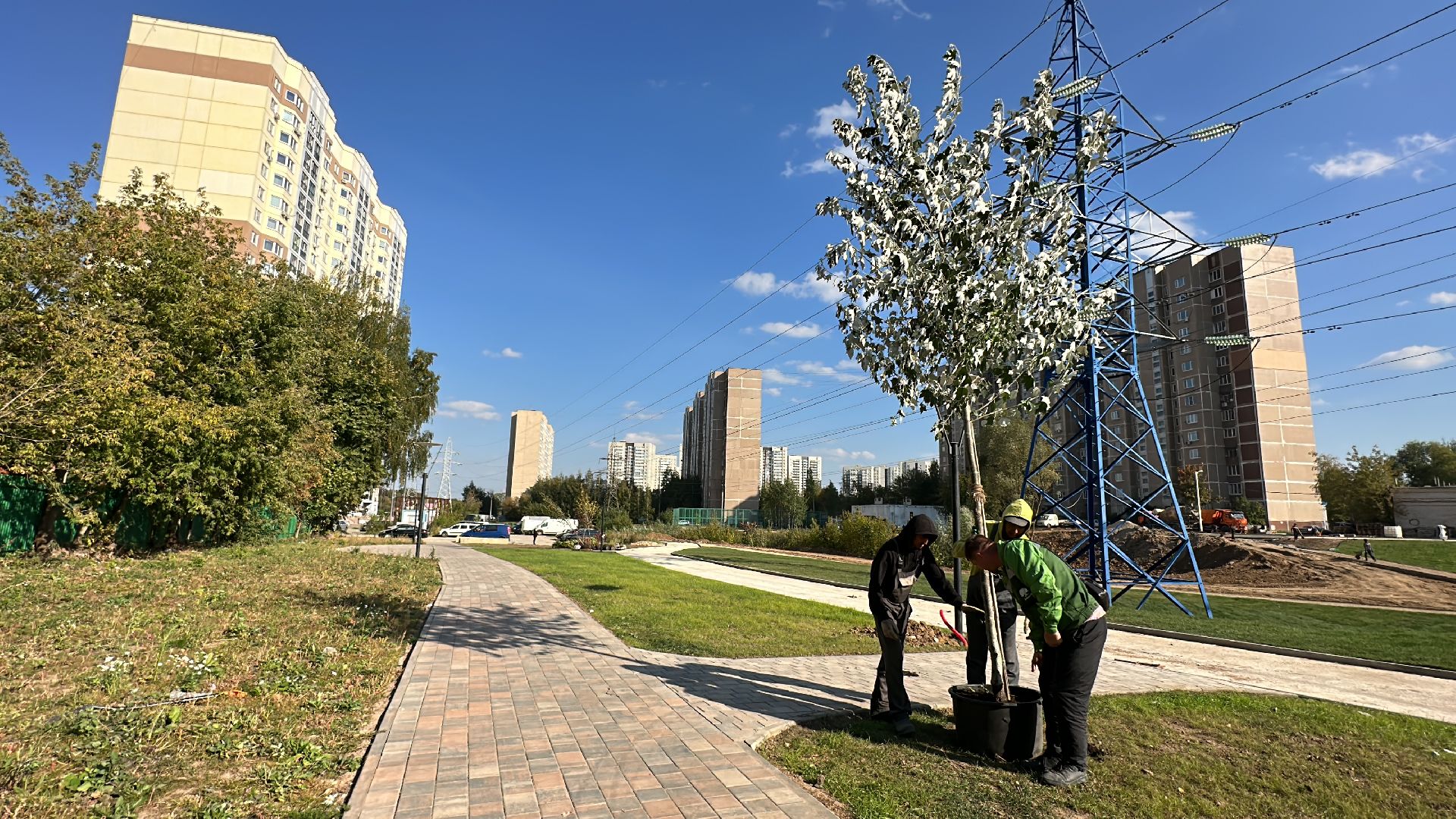 Одинцово, Благоустройство, Экология, Озеленение, Парк Союзный,