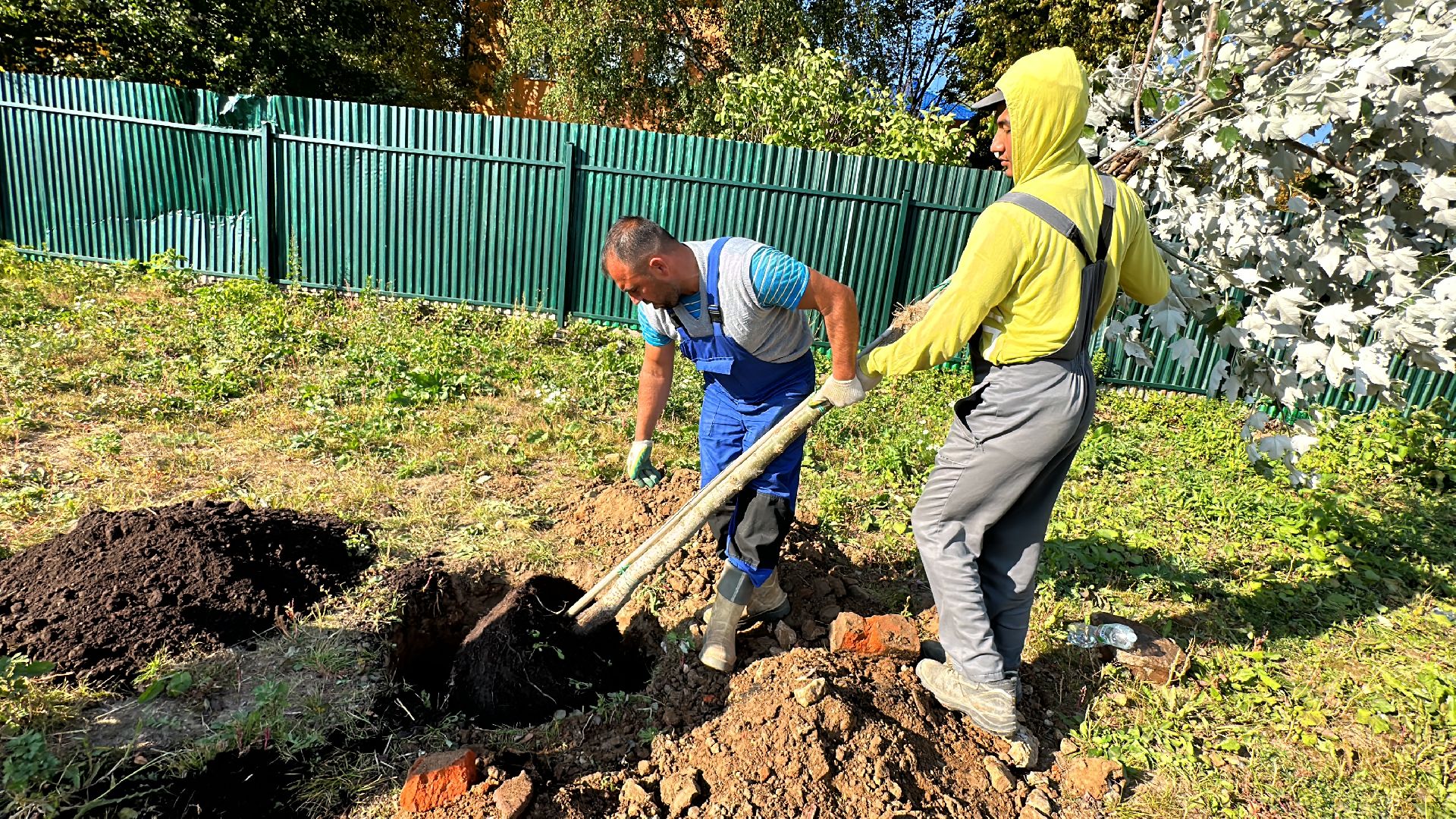 Одинцово, Благоустройство, Экология, Озеленение, Парк Союзный,