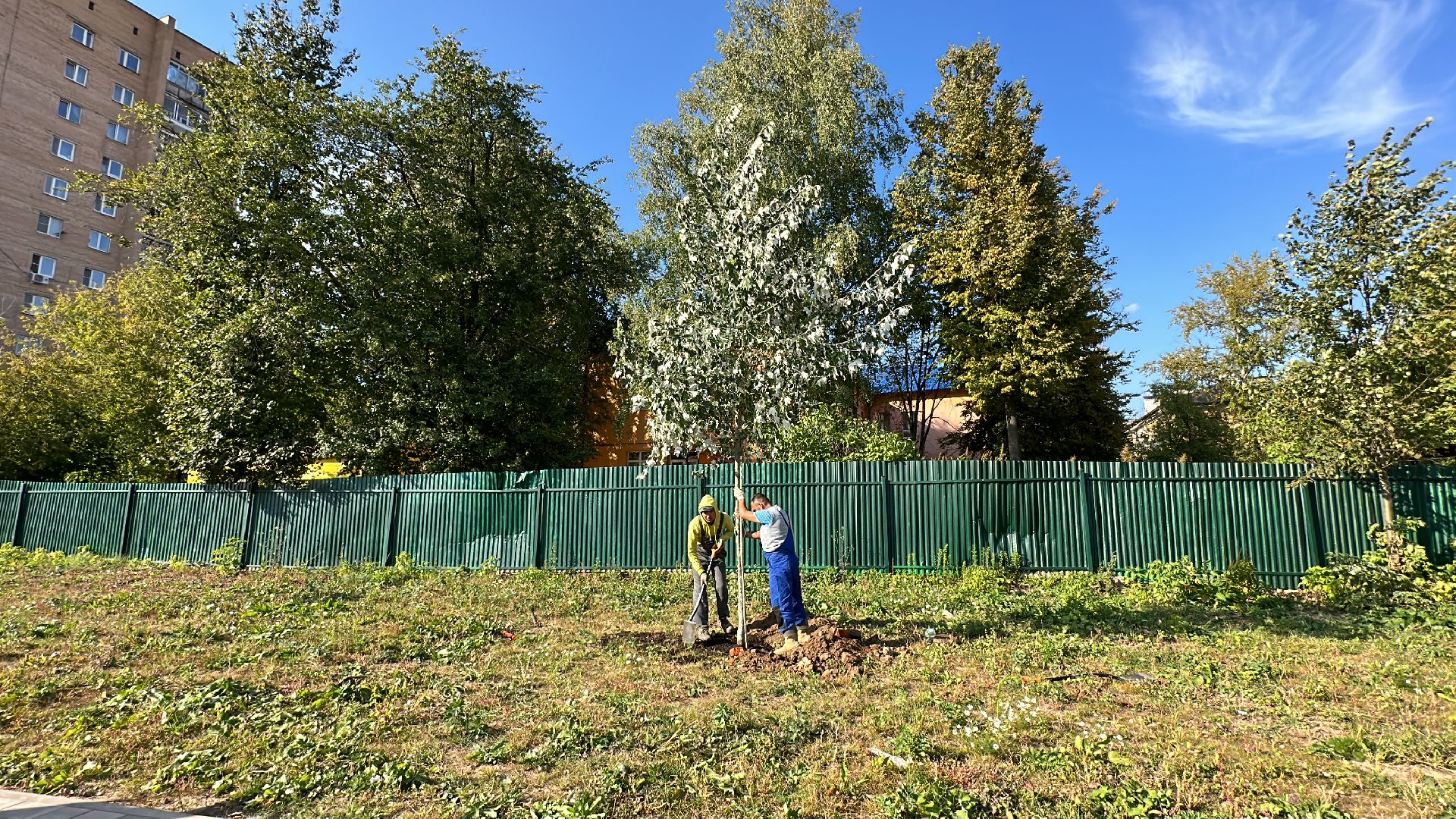 Одинцово, Благоустройство, Экология, Озеленение, Парк Союзный,