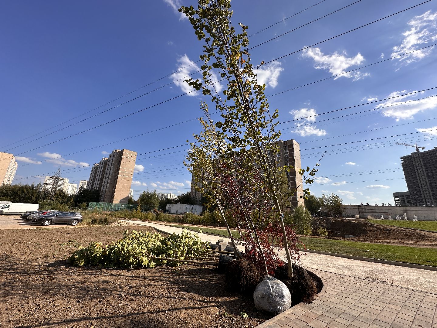 Одинцово, Благоустройство, Экология, Озеленение, Парк Союзный,