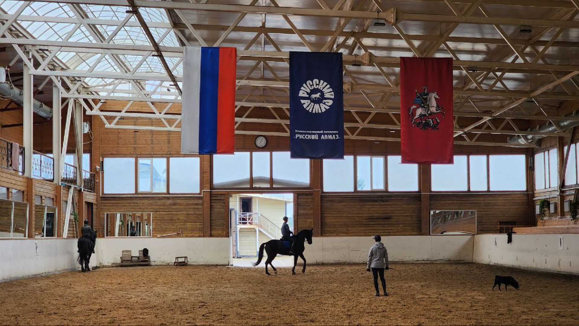 Дмитров, Максима парк, Чемпионат России по выездке,