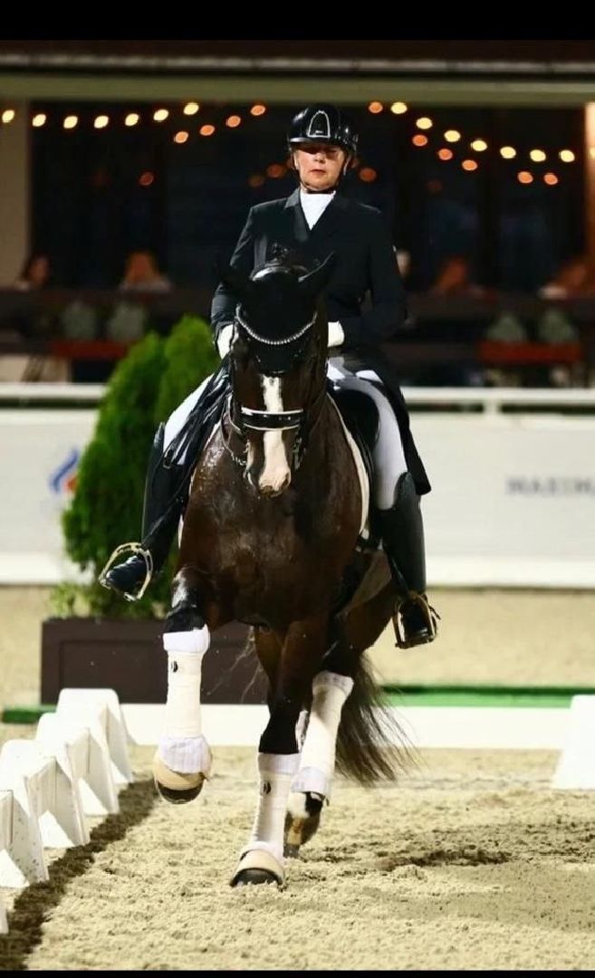 Дмитров, Максима парк, Чемпионат России по выездке,