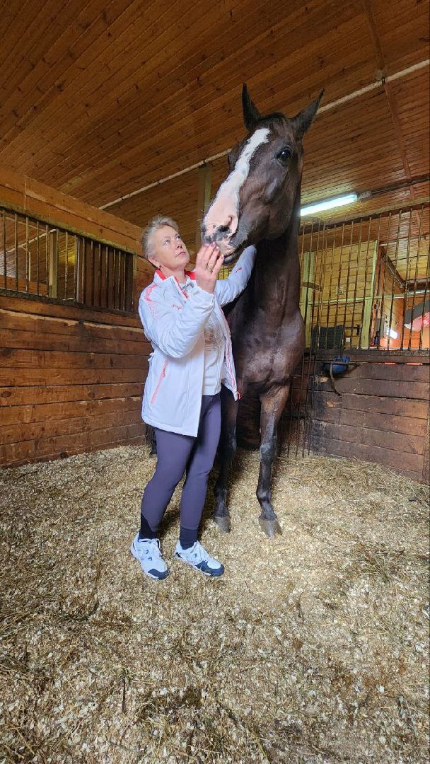 Дмитров, Максима парк, Чемпионат России по выездке,