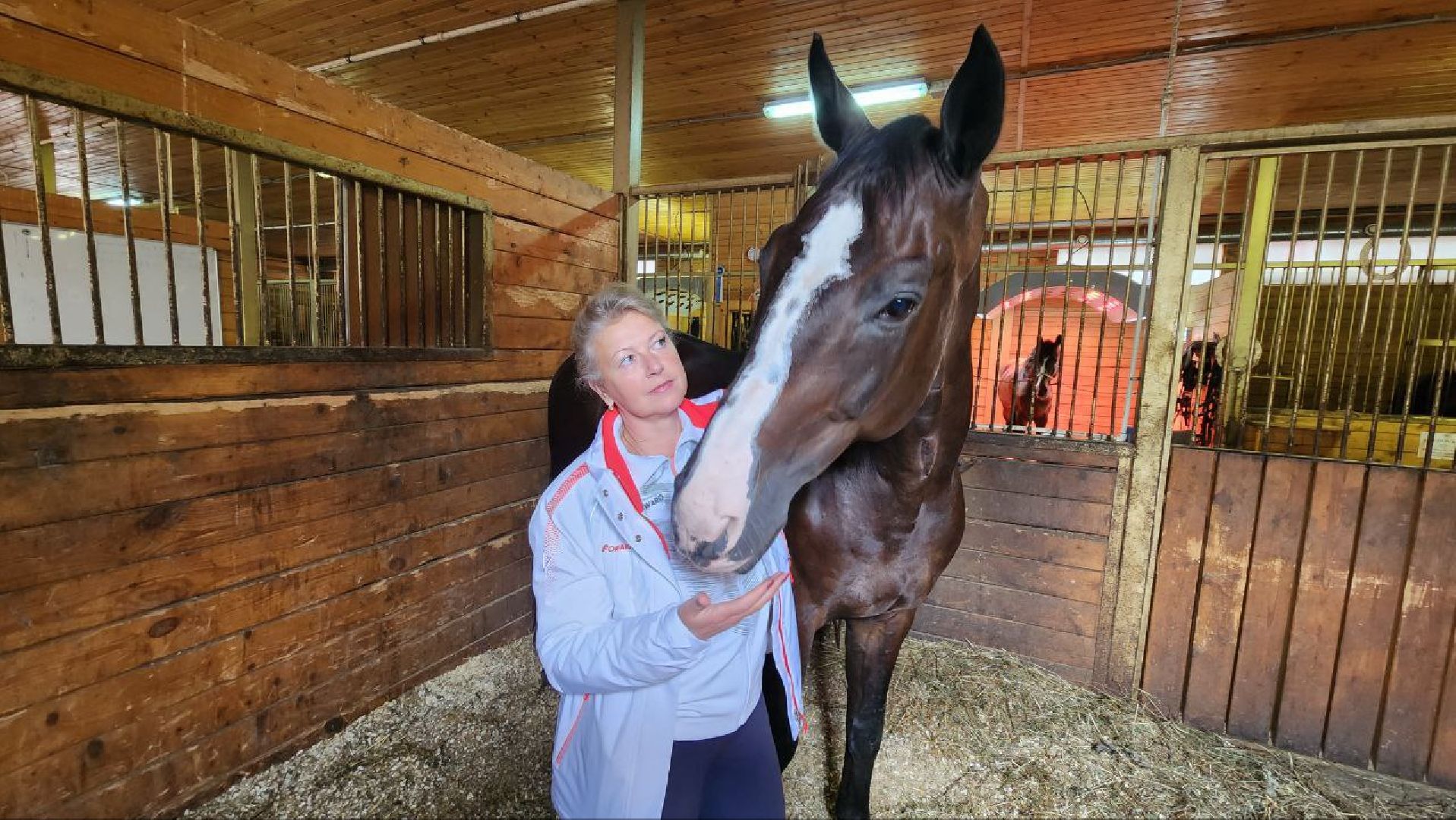 Дмитров, Максима парк, Чемпионат России по выездке,