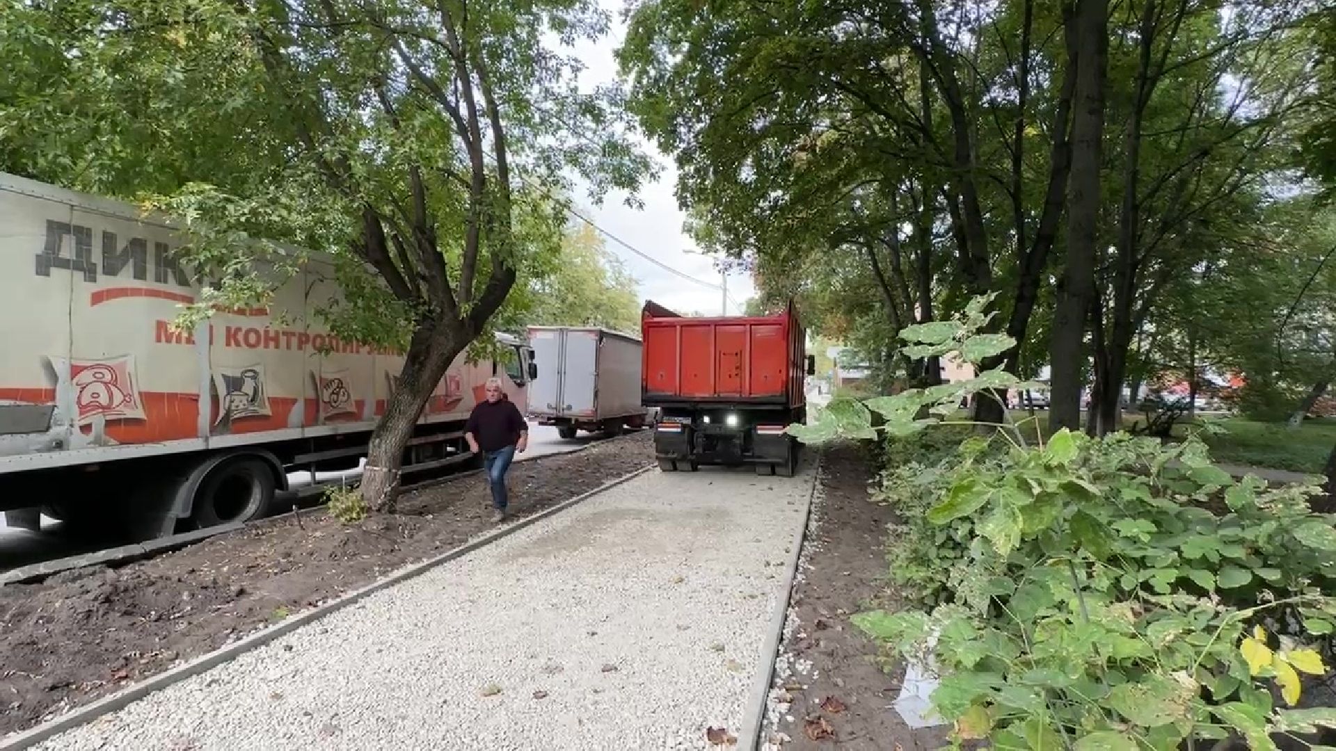 Реутов, благоустройство, деревья, электричество, асфальт,