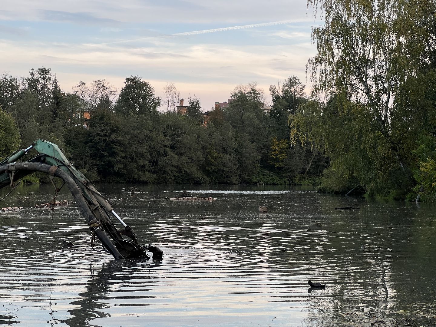 химки, благоуйстройство, река, очистка реки,