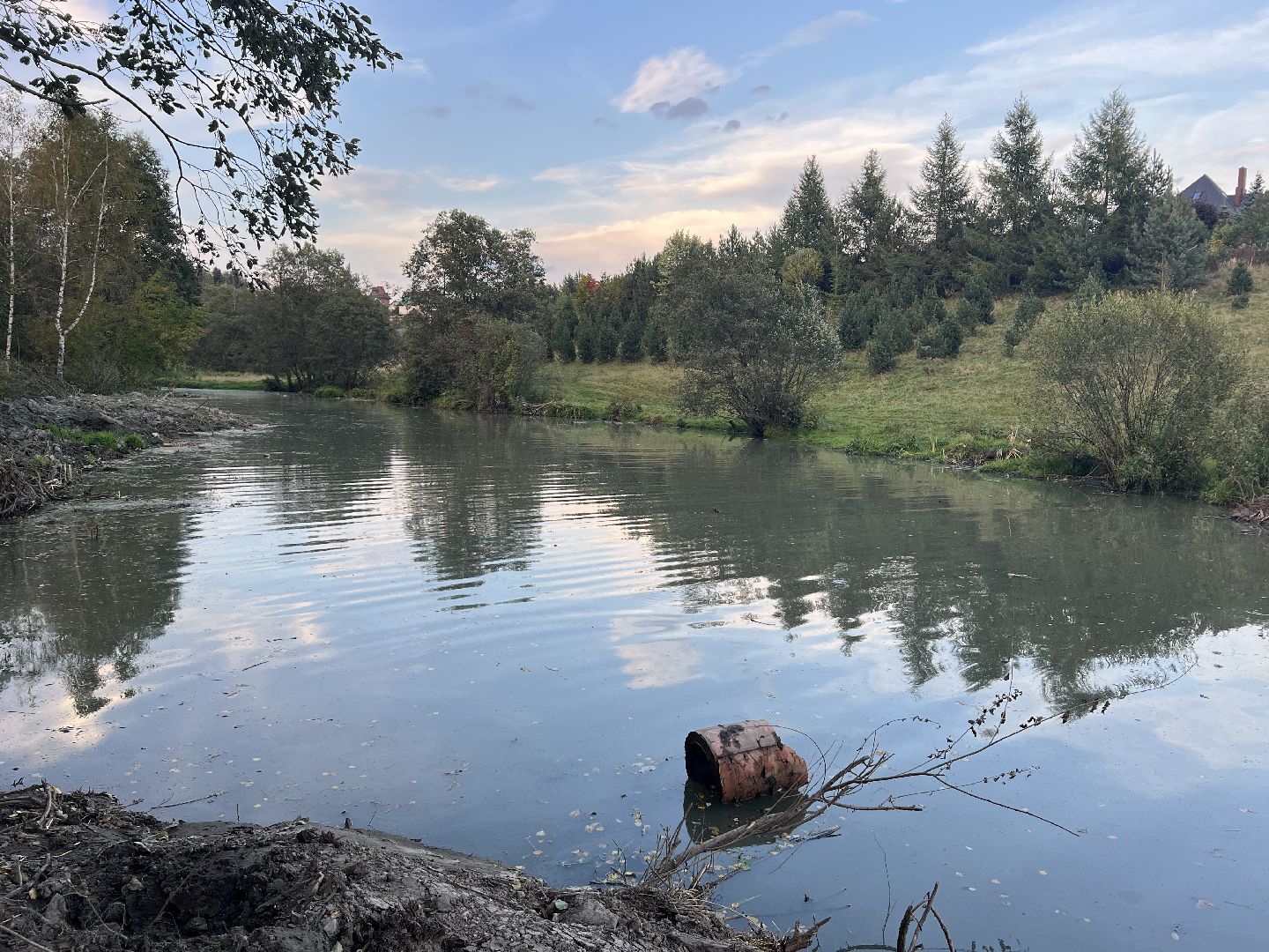 химки, благоуйстройство, река, очистка реки,