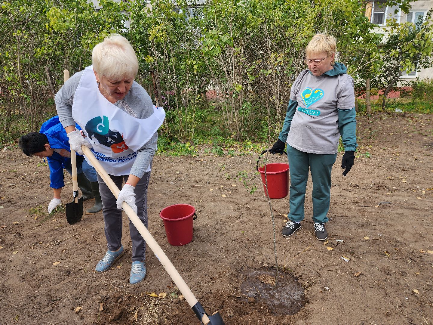 раменское, экология, наш лес, посади свое дерево, дубовая роща,