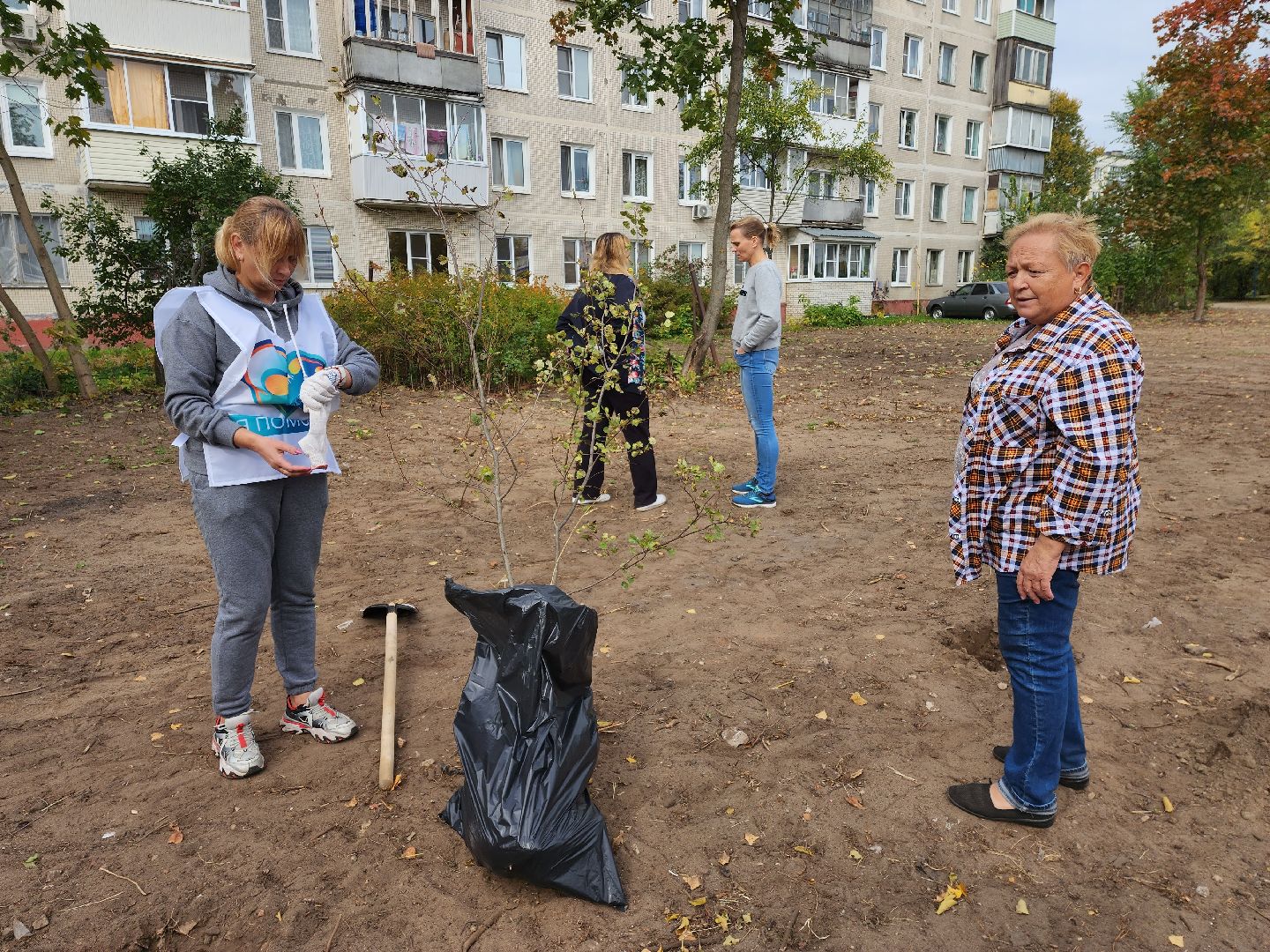раменское, экология, наш лес, посади свое дерево, дубовая роща,