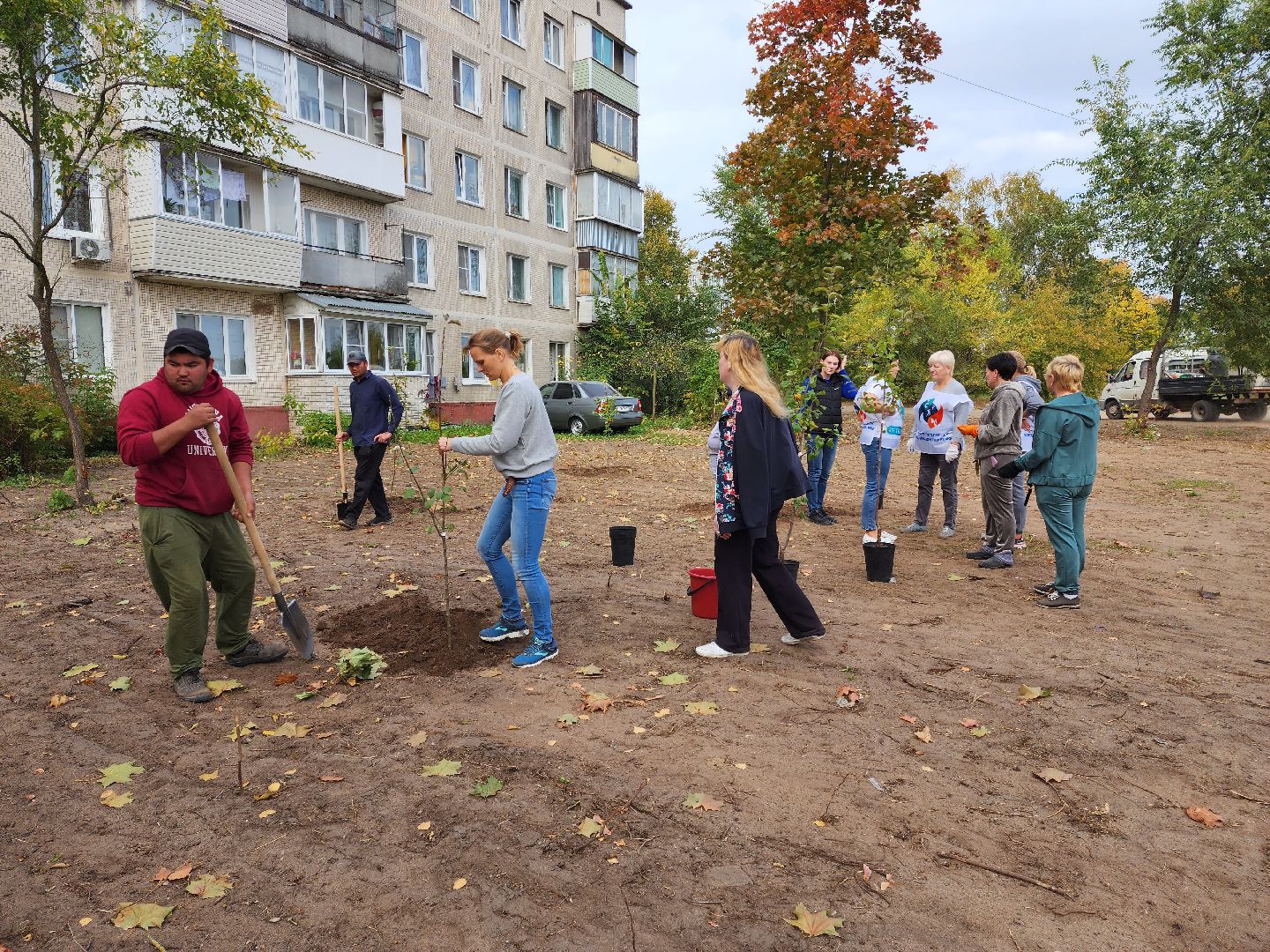 раменское, экология, наш лес, посади свое дерево, дубовая роща,