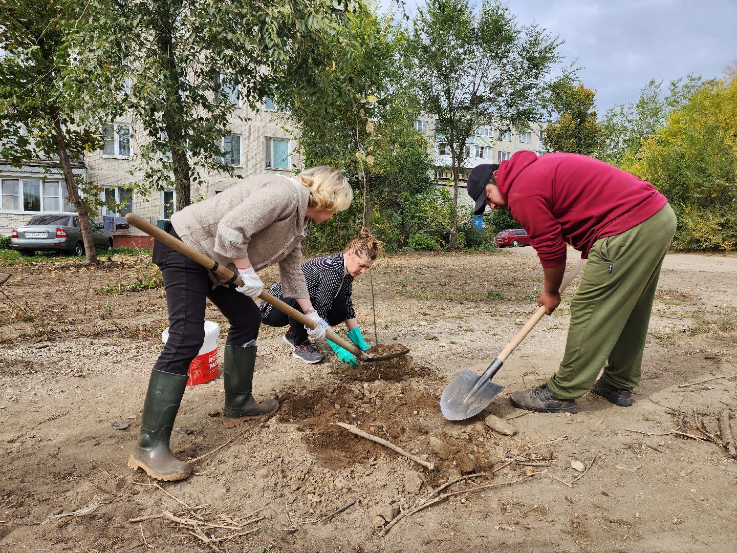 раменское, экология, наш лес, посади свое дерево, дубовая роща,