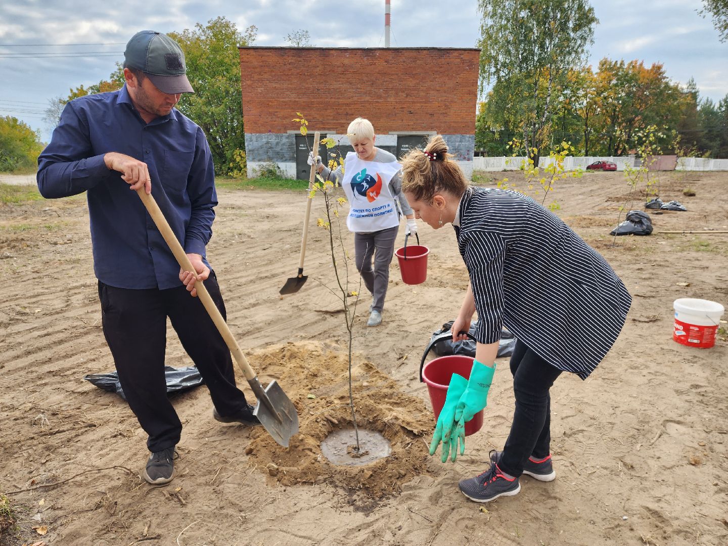 раменское, экология, наш лес, посади свое дерево, дубовая роща,