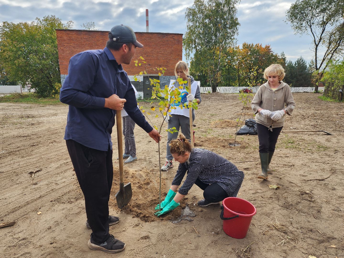 раменское, экология, наш лес, посади свое дерево, дубовая роща,