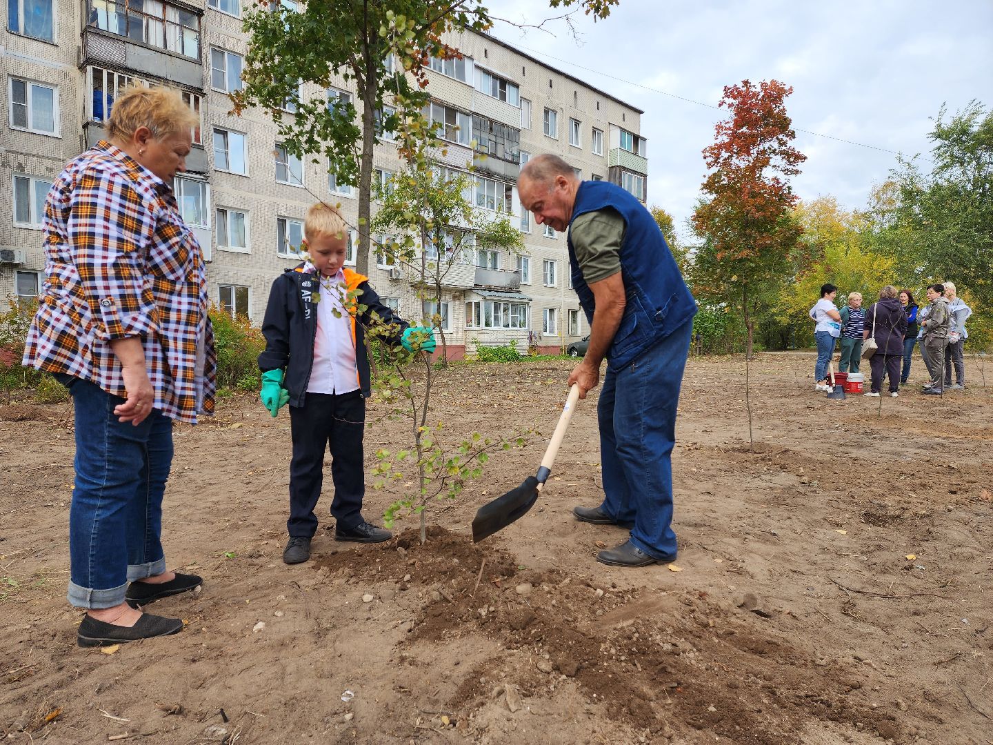 раменское, экология, наш лес, посади свое дерево, дубовая роща,