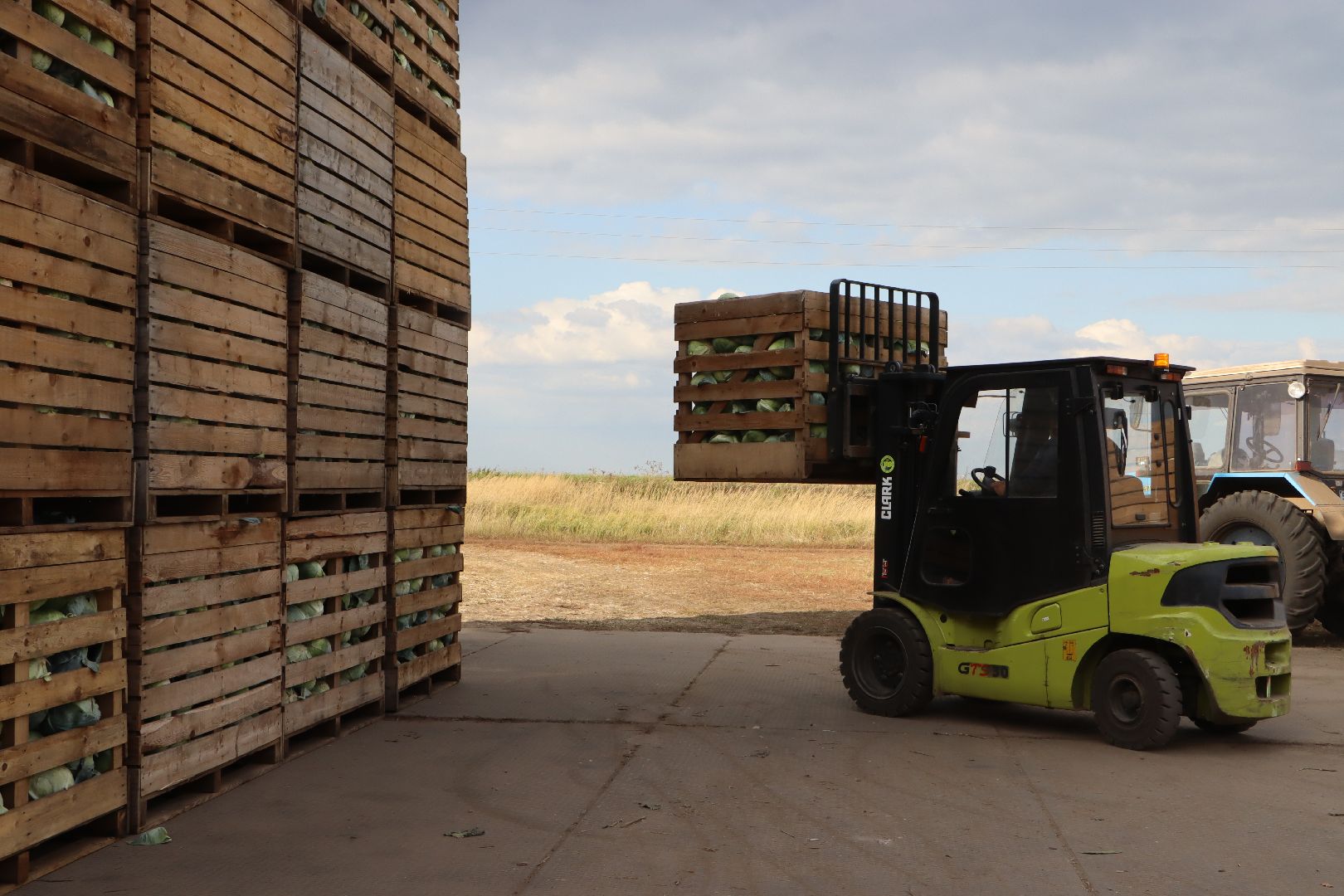 Серебряные Пруды, сельское хозяйство, овощи, еда, работа, природа, урожай,