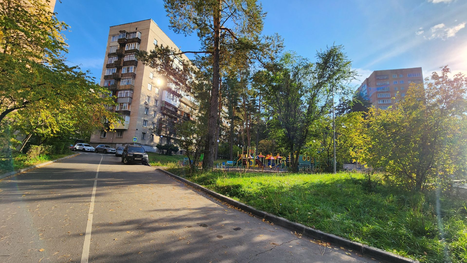 ветеринария, пироплазмоз, клещи, подмосковье, протвино,