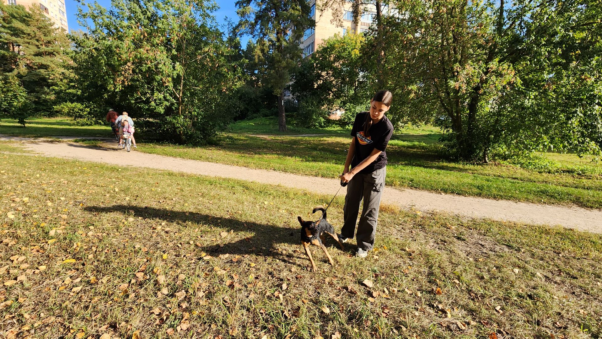 ветеринария, пироплазмоз, клещи, подмосковье, протвино,