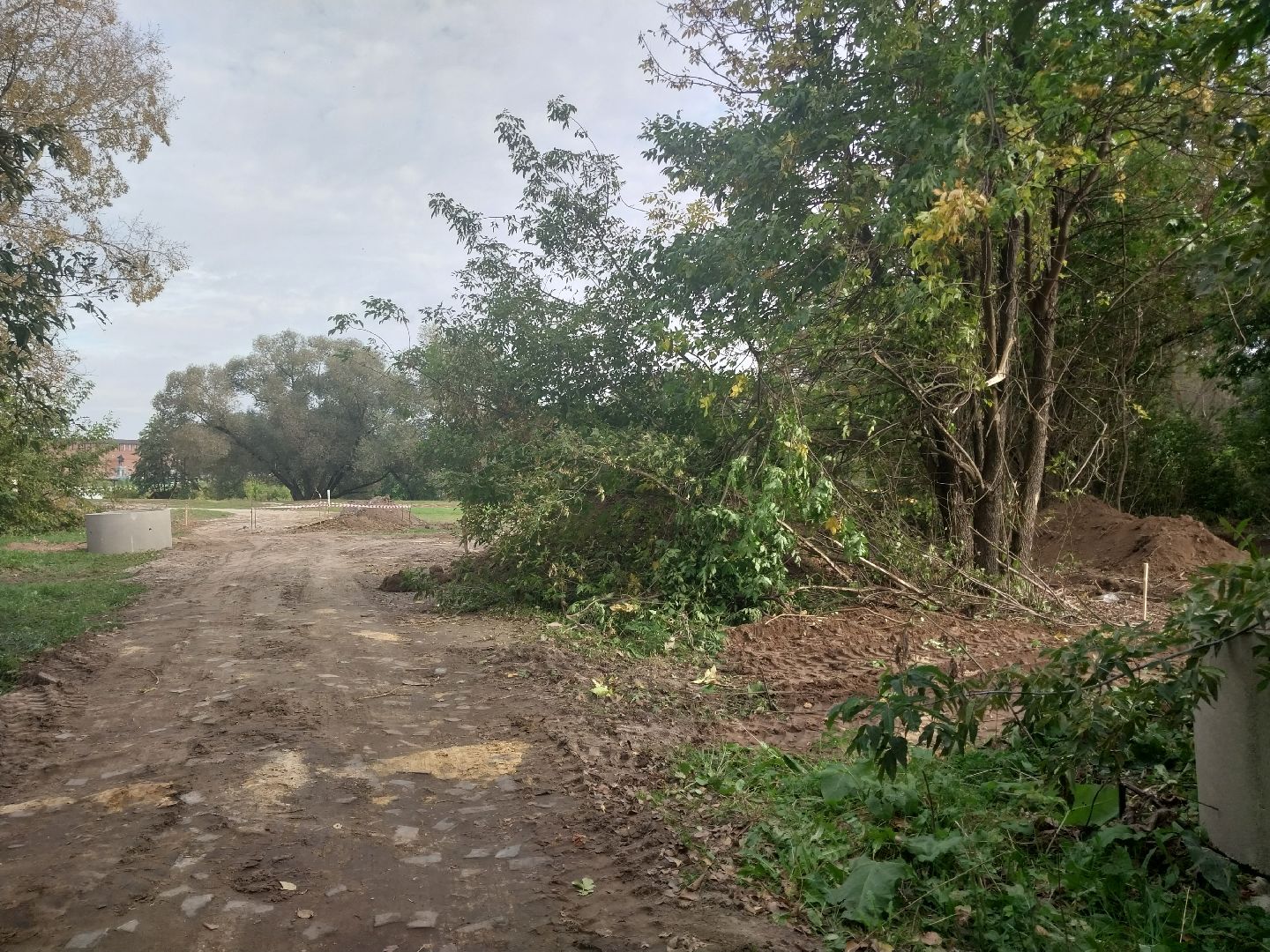 Коломна, благоустойство, зона отдыха, пляж,