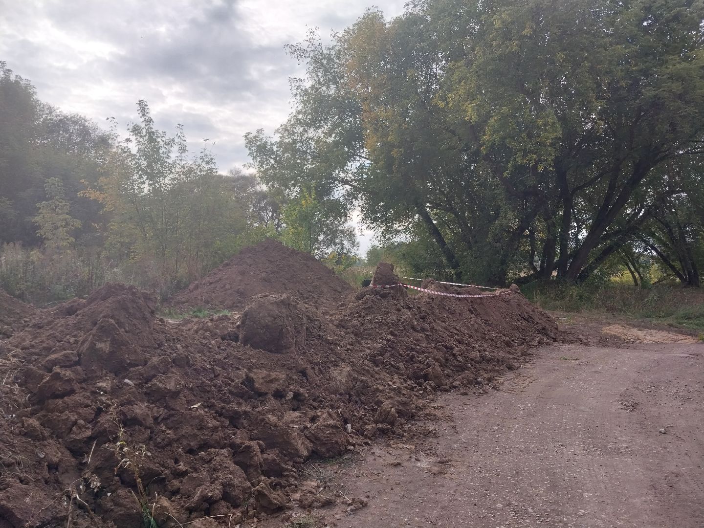 Коломна, благоустойство, зона отдыха, пляж,