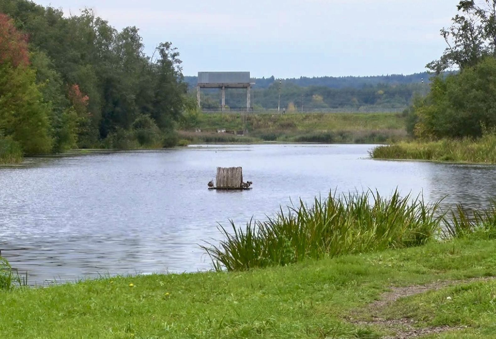 Клин, общество, парки, благоуйстройство,