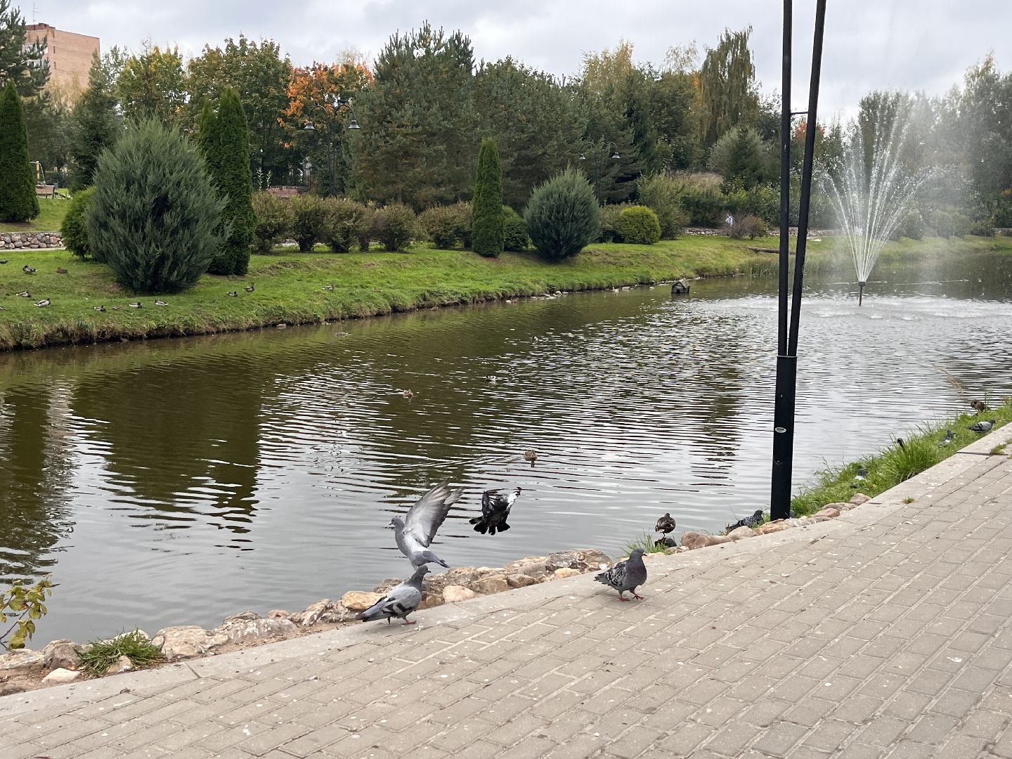 шаховская, история, краевед, История поселка,