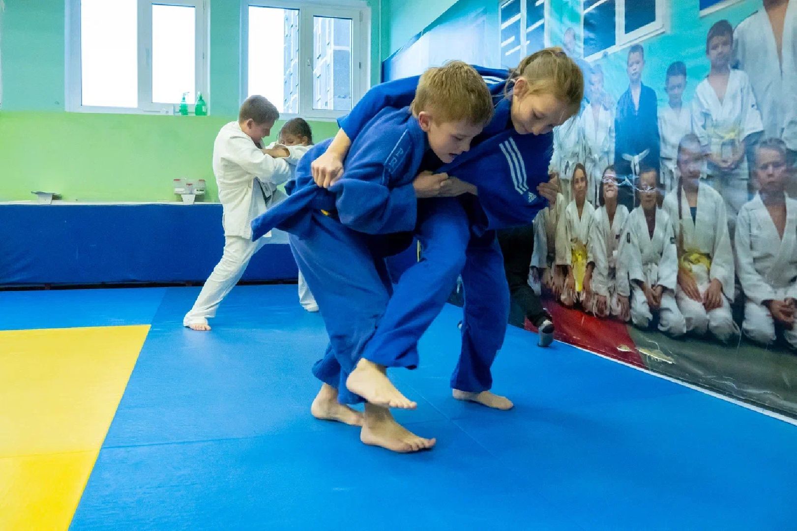 спортшкола, ремонт, давыдово, орехово-зуево,