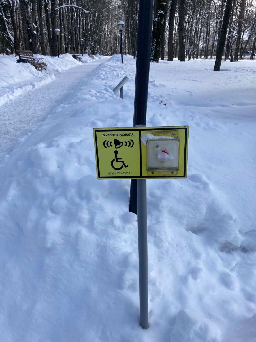 Клин, Культура