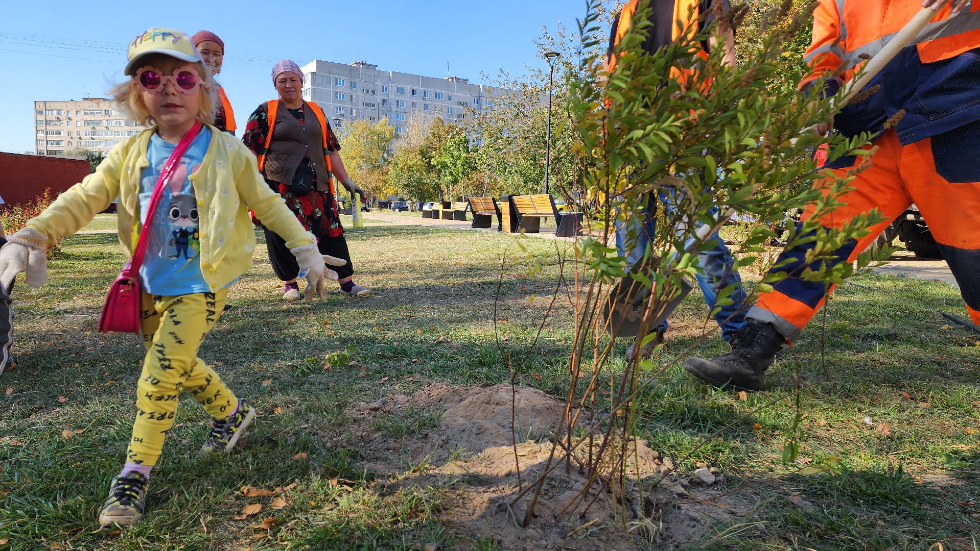 Подмосковье, городской округ пушкинский, ивантеевка, посади свое дерево, дети,