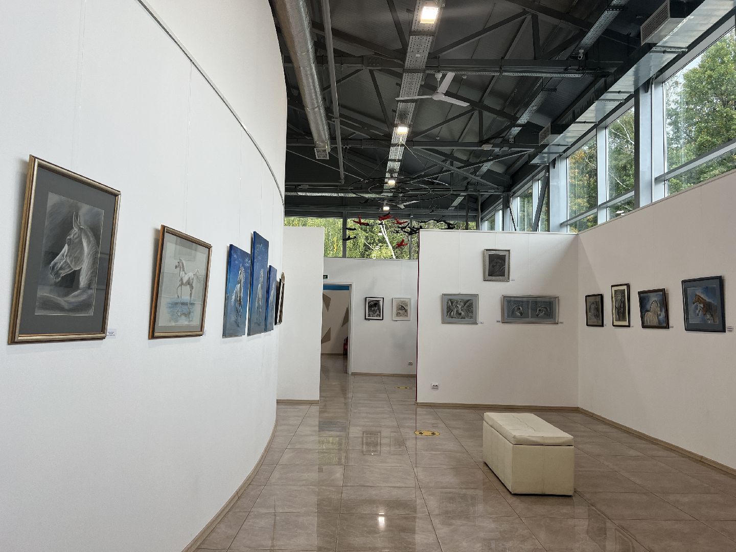 химки, культура, музей, лошади, картины,