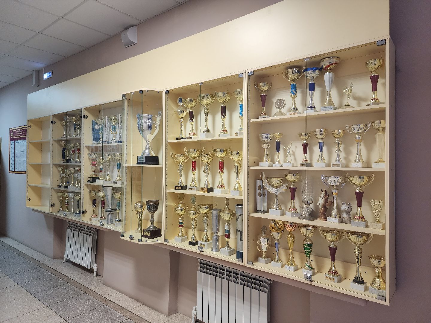 самбо, zа самбо, Самбо в школу, гимназия №1, Винник, Марков, Коханый, Шагизиганов,