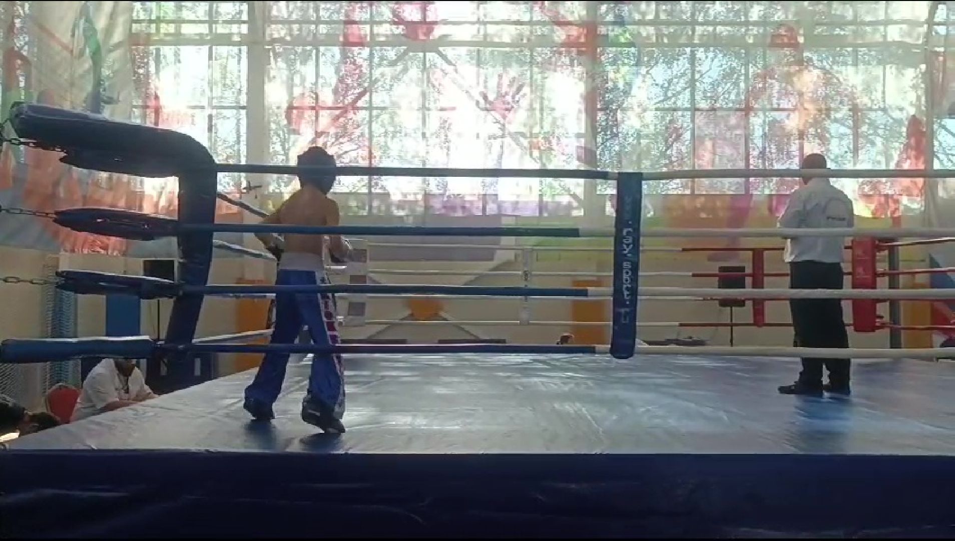 Реутов, спорт, бокс, Алексей Папин, Александр Пересвет, чемпионат, Московская область,