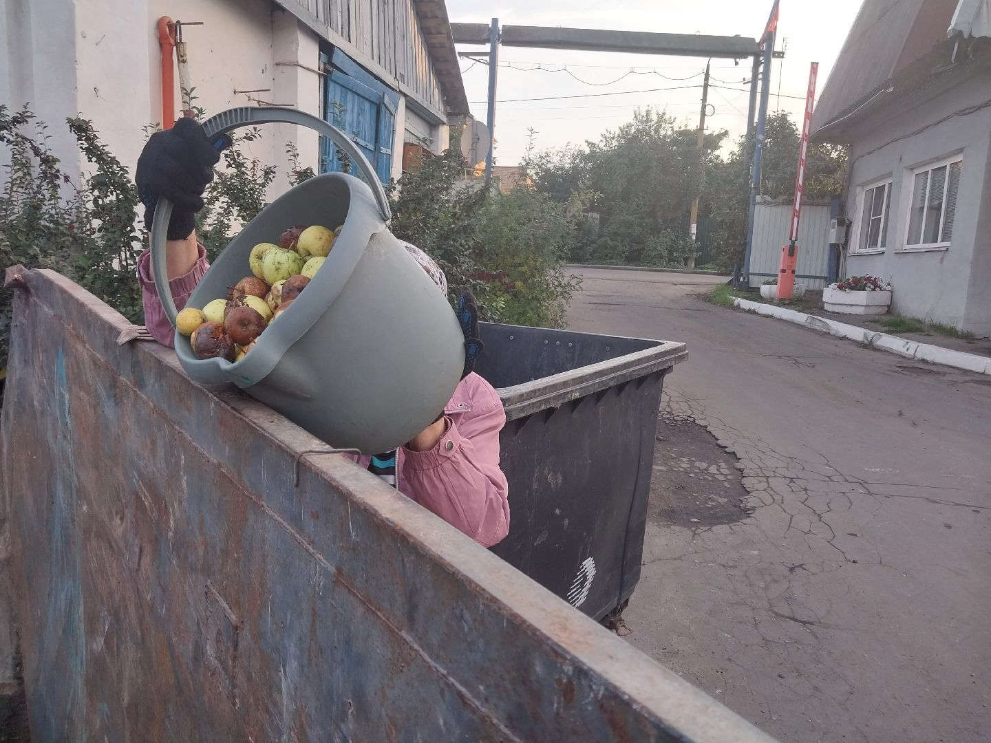 Коломна, ЖКХ, переработка, мегабак, урожай,